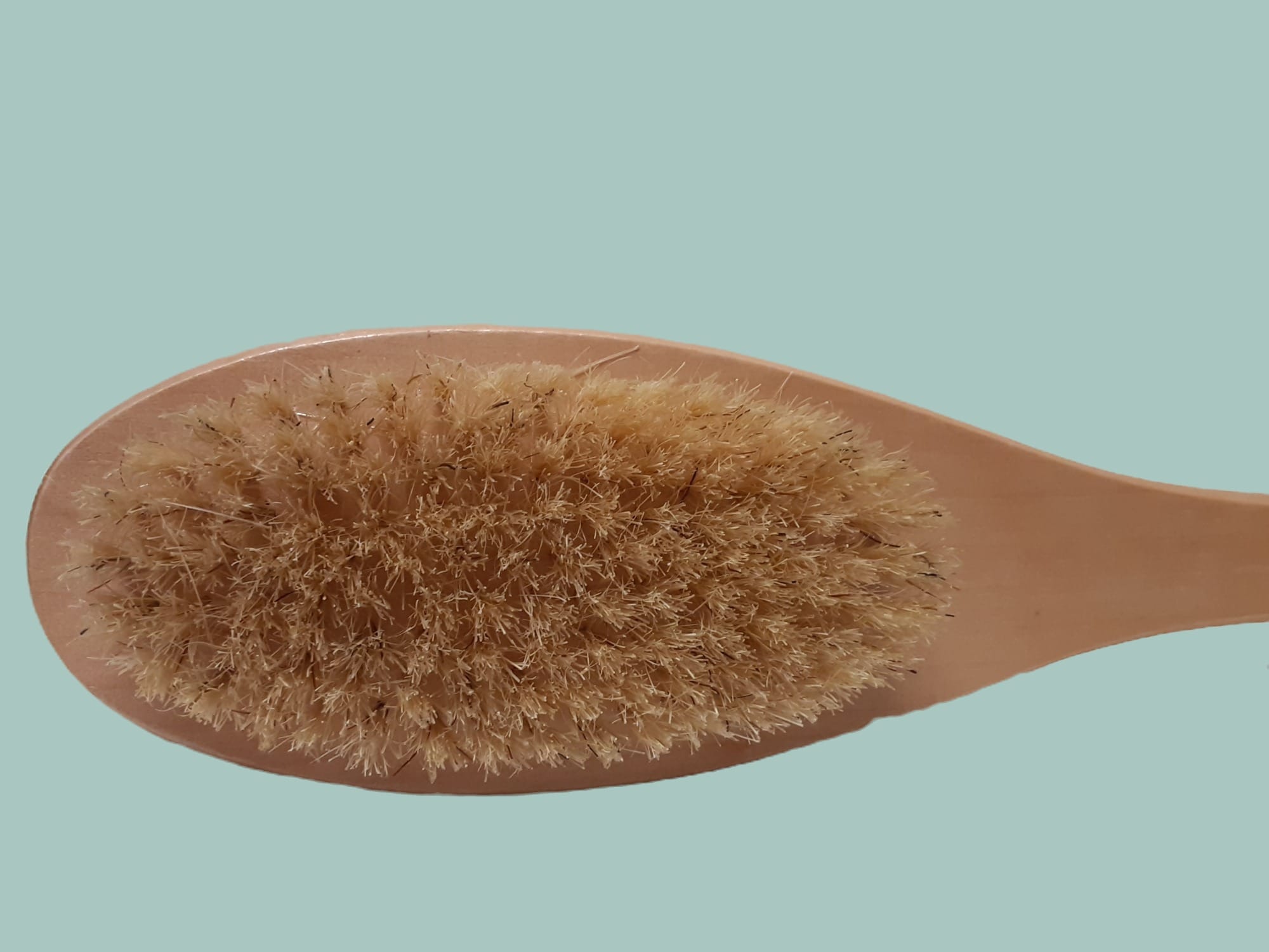 go nature y dual sided shower brush massager, long handle for spa at home go nature y dual sided shower brush massager, long handle for spa at home