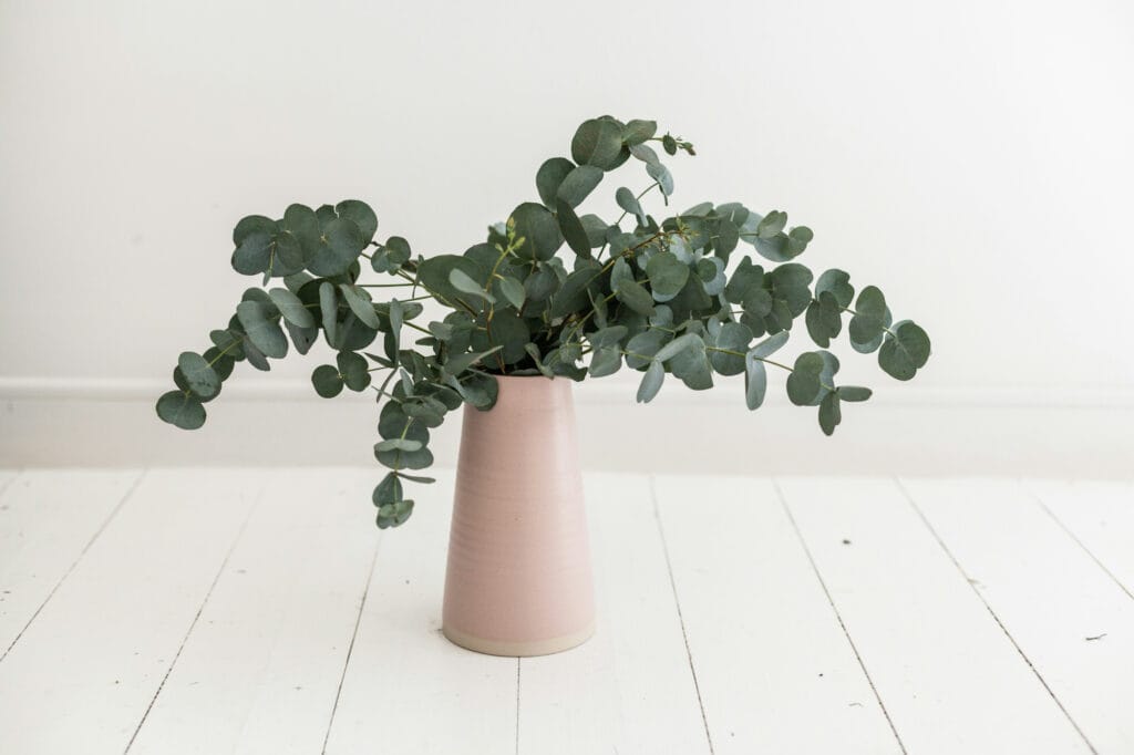 10 Essential Oils for Natural Cleaning eucalyptus