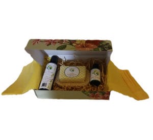 go nature y, lemon oil collection gift set, uplifting aromatherapy & self care